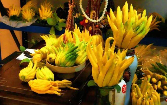 “电商钥”打开“共富锁”不朽情缘正规网站北山口村