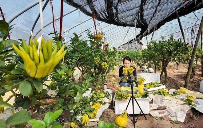 “电商钥”打开“共富锁”不朽情缘正规网站北山口村(图7)