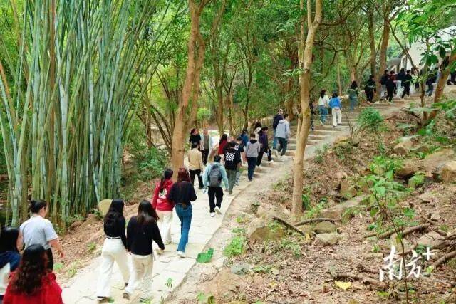 线来五桂山解锁“绿野仙踪”不朽情缘MG一山一道一专(图4)